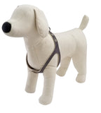 Silver Sparkle Leather Harness