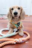 Honeydew Cotton Rope Dog Leash