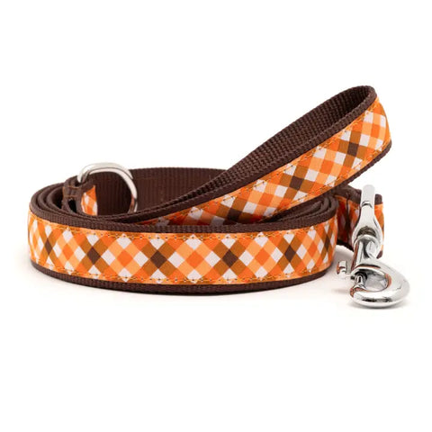 FALL CHECK LEASH