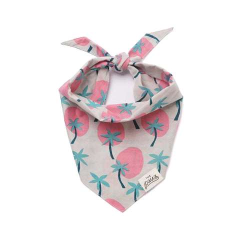 BINGIN BANDANA