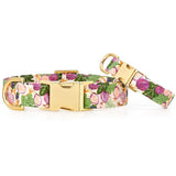 FIGS AND BERRIES COLLAR