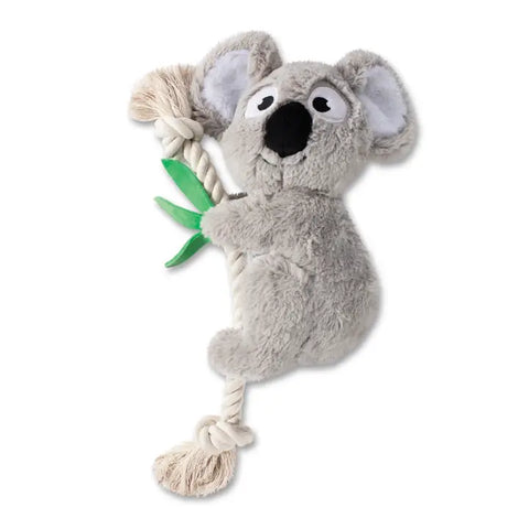 KOA KOALA