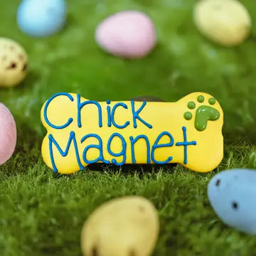 CHICK MAGNET TREAT