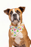 GUMMI DOG BANDANA