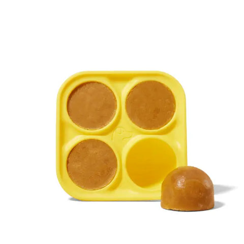 WOOF TREAT TRAY