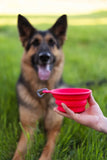 MESSY MUTTS COLLAPSIBLE TRAVEL BOWL
