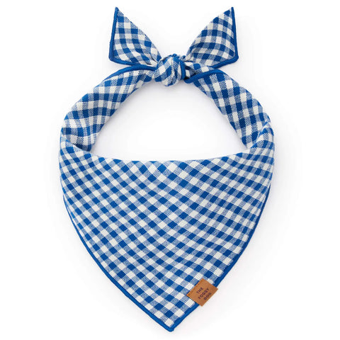 LAKE BLUE GINGHAM BANDANA