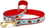 HEDGEHOG LEAD