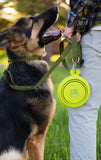 MESSY MUTTS COLLAPSIBLE TRAVEL BOWL