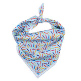 ITS MY BIRTHDAY PNK BANDANA