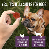 JELLY SHOTS