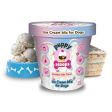 BIRTHDAY CAKE ICE CREAM