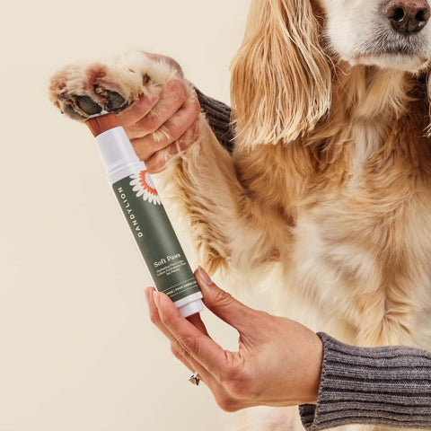 Soft Paws Paw Lotion