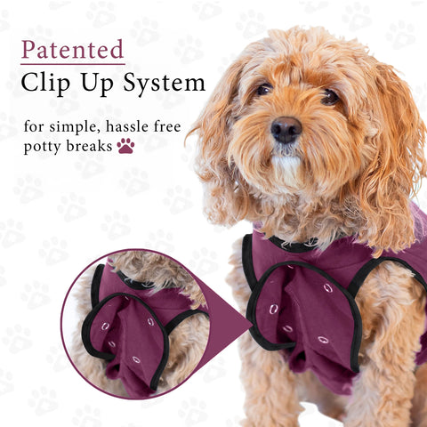 BELLY GUARD SURGERY SUIT