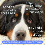 NATIVE PET Calm AnxietyChews