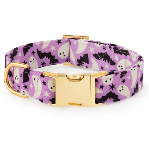 SPOOKY SEASON COLLAR