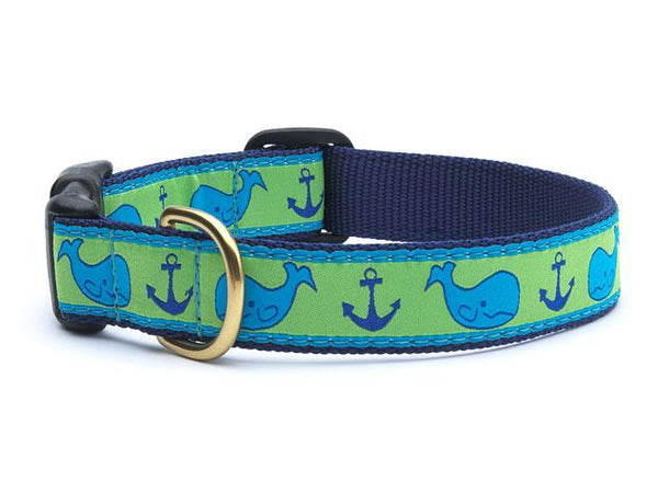WHALE COLLAR