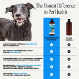 PET HONESTY-CHLORHEXIDINE SHAMPOO