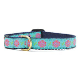 UPC CAT COLLAR 10 inch