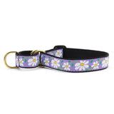 DAISY MARTINGALE DOG COLLAR