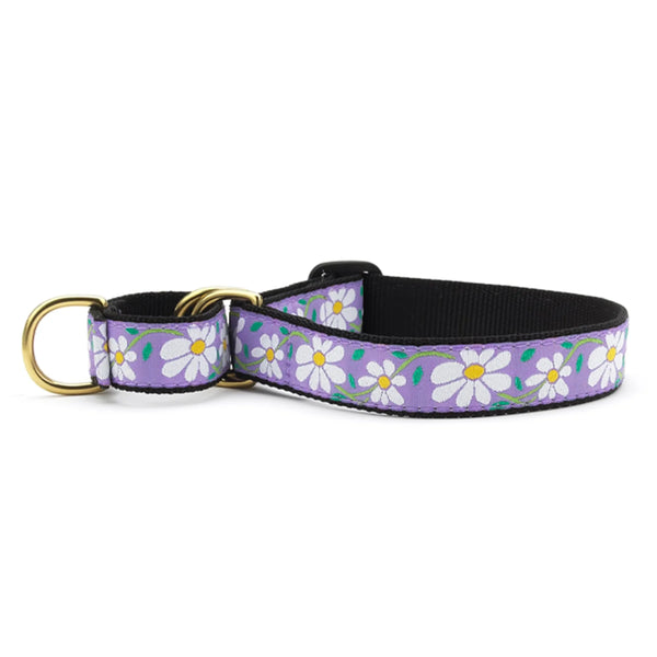 DAISY MARTINGALE DOG COLLAR