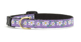UPC CAT COLLAR 12in