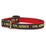 UPC CAT COLLAR 10 inch