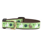 RABBIT Collar