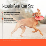 PET HONESTY-HIP/JOINTMAX