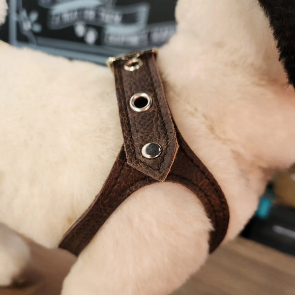 BOMBER BROWN Leather Harness