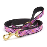 LAV LATTICE LEAD
