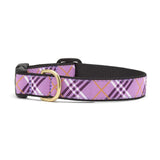 LAV-LATTICE Collar