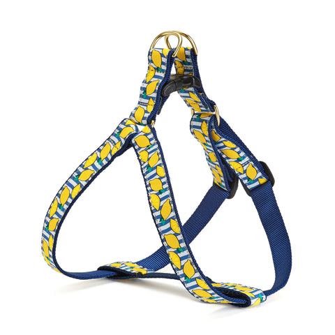 MAKE LEMONADE HARNESS