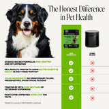 PET HONESTY-PROBIOTICS