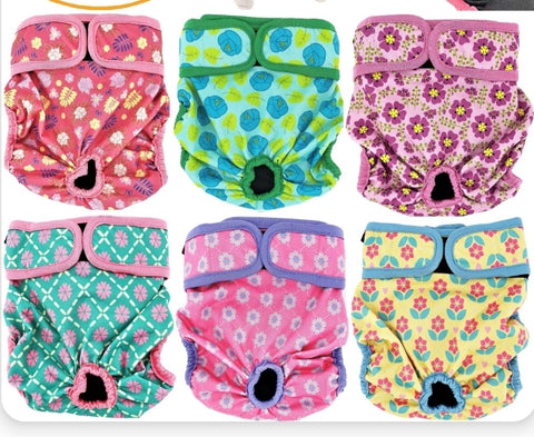 Female Dog Diaper