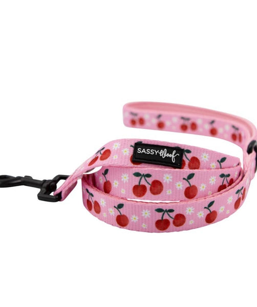 Cherries Dog Leash