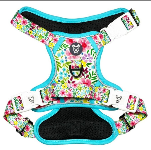 FLORAL No Pull Harness