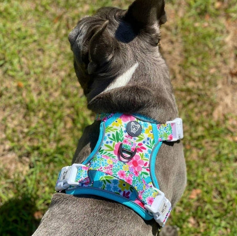 FLORAL No Pull Harness