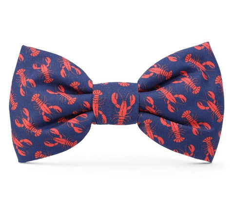 Catch of the Day  BOW TIE