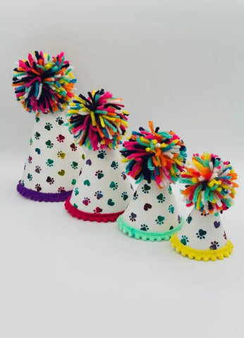 Rainbow Paws Party Hat