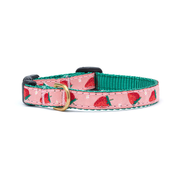 UPC CAT COLLAR 12in