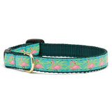 UPC CAT COLLAR 12in