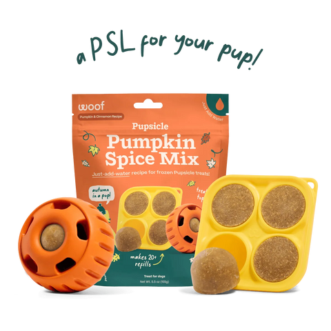 TREAT MIX PUMPKIN SPICE