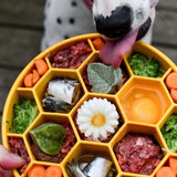 HONEYCOMB BOWL