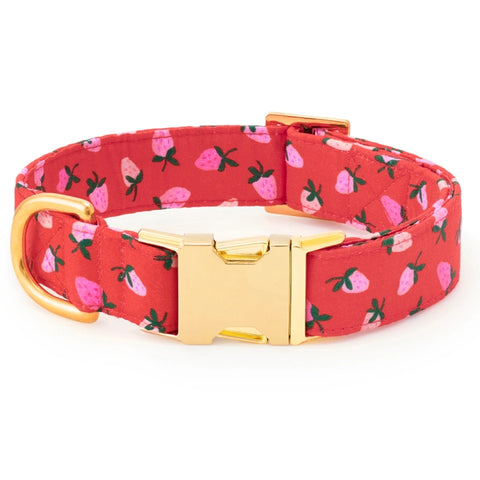 BERRY SWEET VALENTINE COLLAR