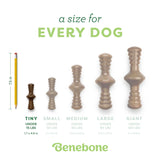 Benebone ZAGGLER-BACON