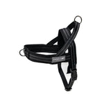 NO PULL HARNESS