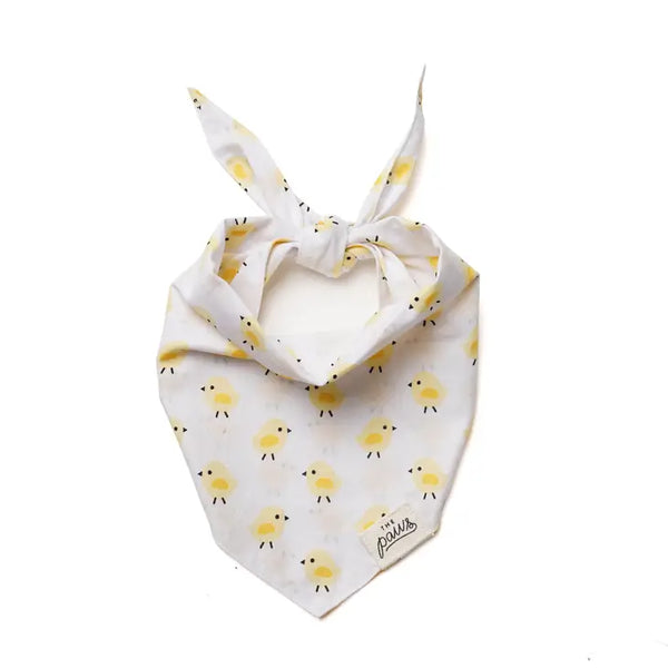 CHICKS BANDANA