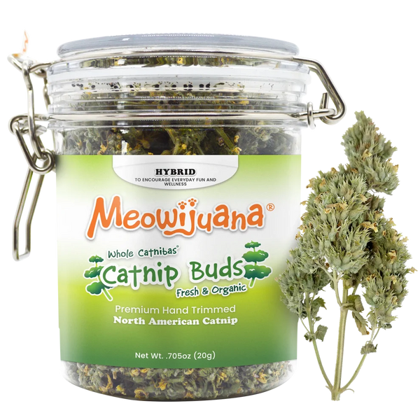 CATNIBAS CATNIP BUDS