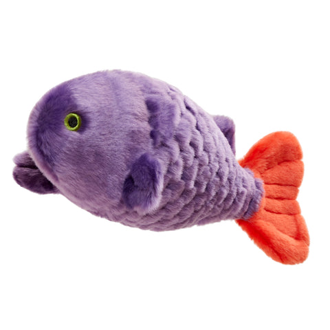 CICI Fish